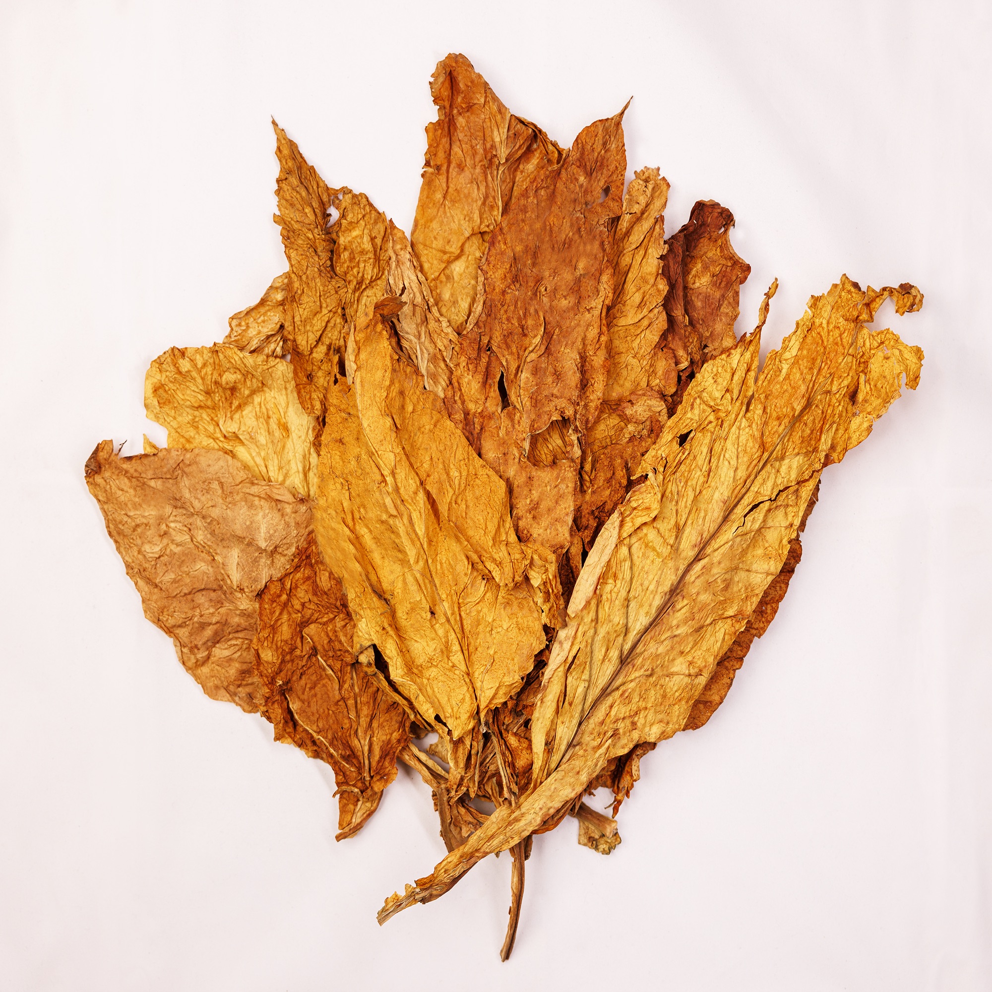 Virginie Tonga Bulgare – 1/Kg