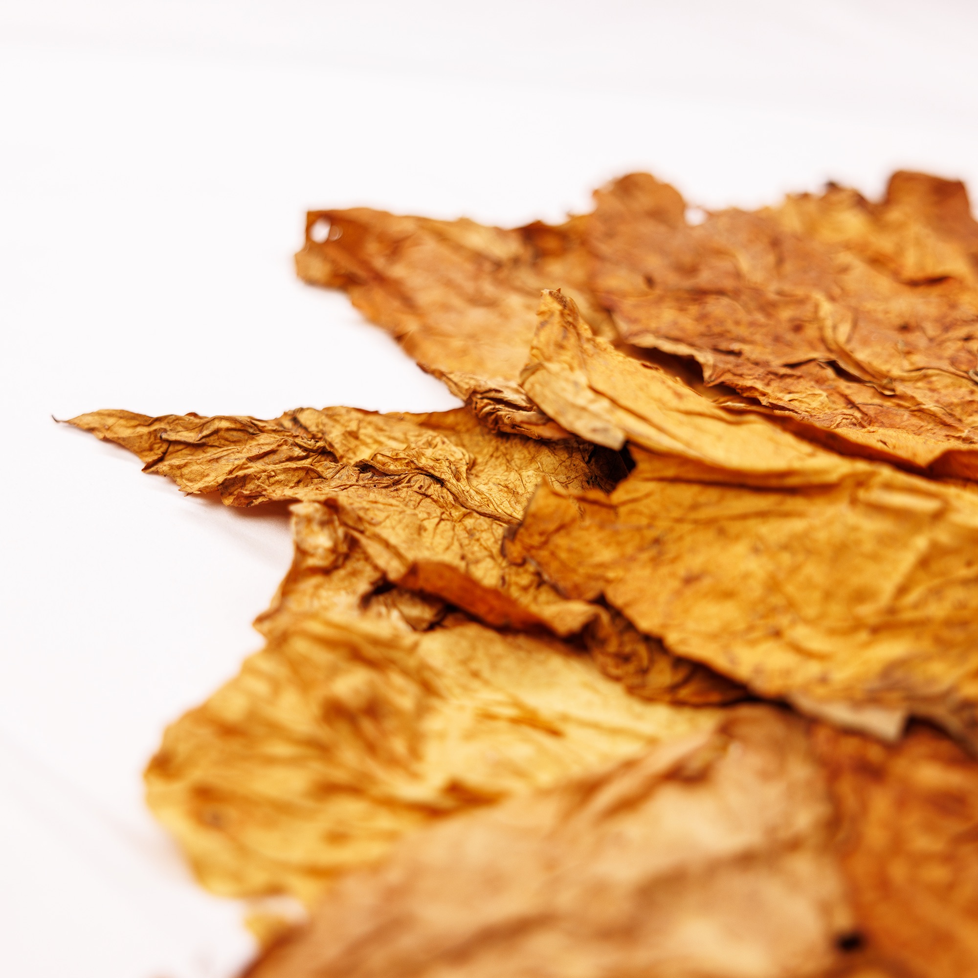 Virginie Tonga Bulgare – 1/Kg – Image 3