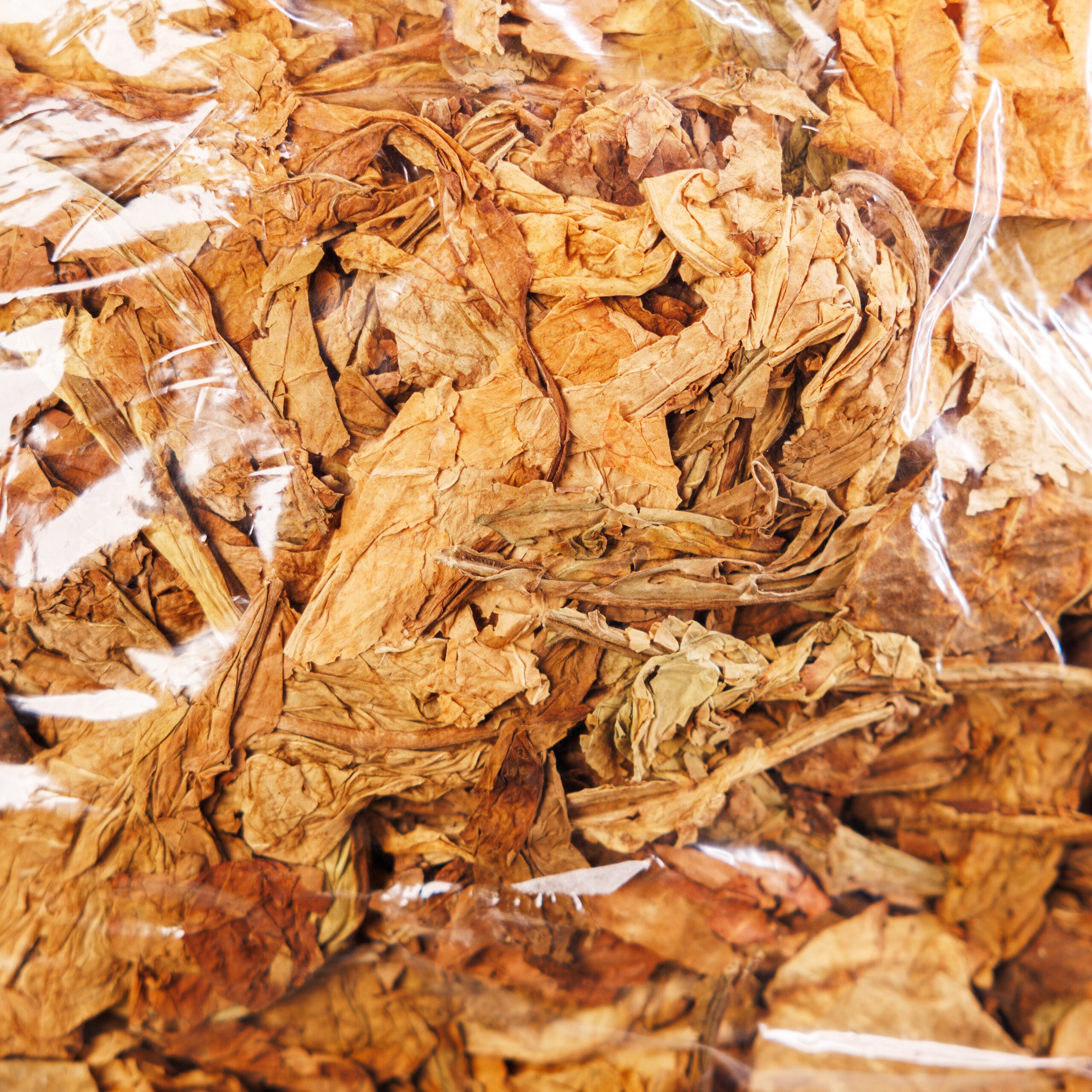 Virginie Tonga Bulgare – 1/Kg – Image 4